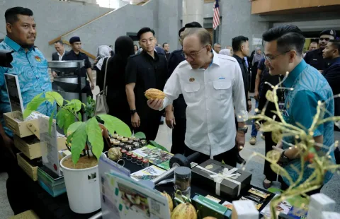 Anwar Dorong ASEAN Evaluasi Mekanisme Atasi Kabut Asap Lintas Batas: Darurat Kesehatan Anak Jadi Prioritas