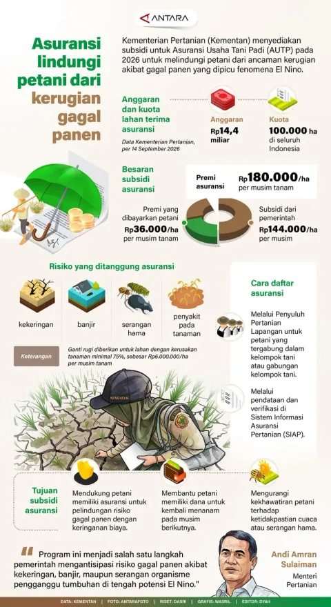 Kementan Subsidi Asuransi Tani Padi 2026, Jaring Aman Hadapi El Nino