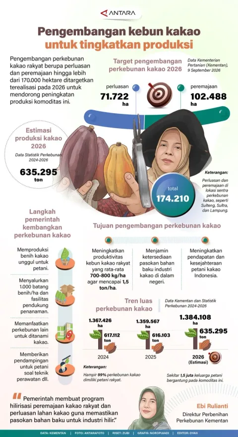 Peremajaan 170 Ribu Hektare Kebun Kakao Rakyat: Peluang atau Beban Baru bagi Petani?