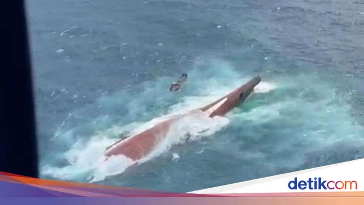 Kapal Virgo Transport 8 Karam di Laut Jawa: 107 Selamat, 6 Tewas, Investigasi Faktor Alam hingga Manusia