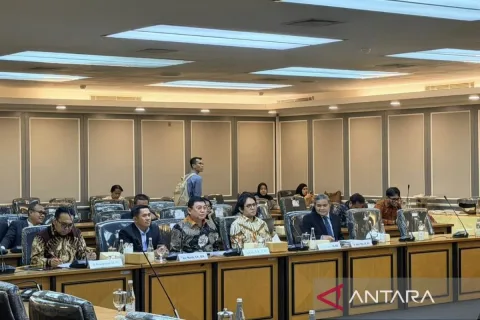 Kurator Menanti Payung Hukum: PERKAPI Desak DPR Prioritaskan RUU Profesi Kurator