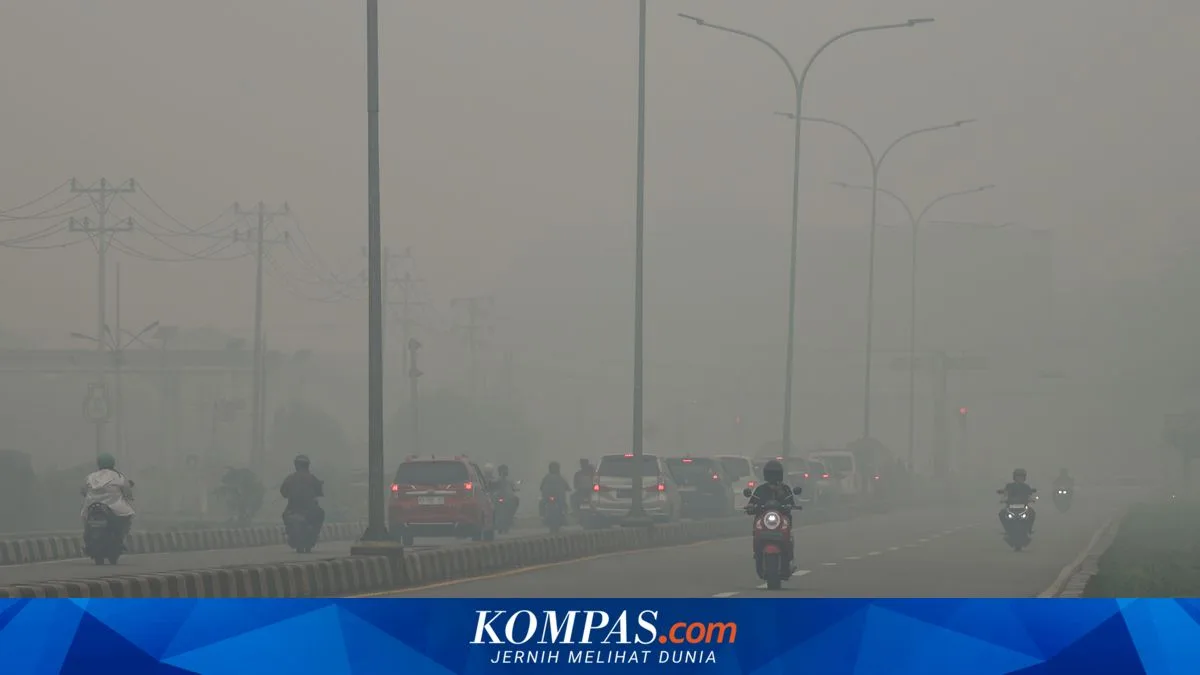BNPB Klaim Aktivitas Warga Normal di Tengah Asap Karhutla, Penerbangan Kalimantan Lumpuh