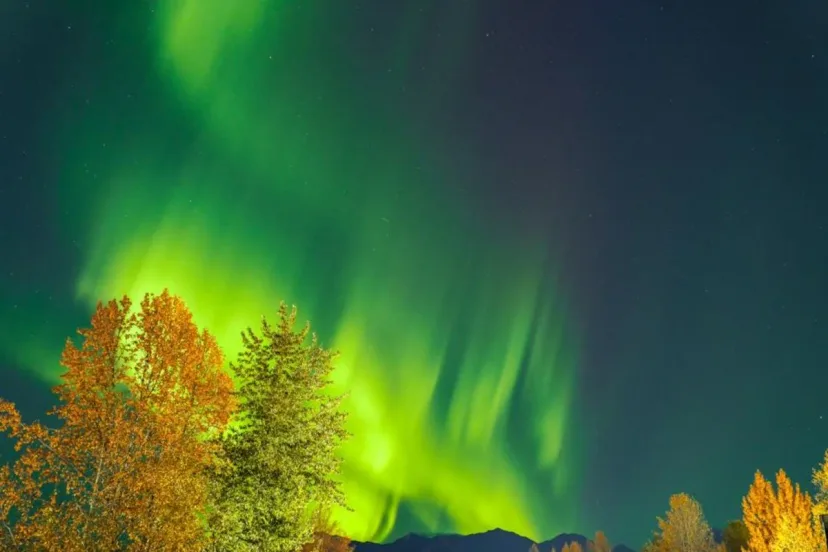 Aurora Borealis Kembali Terlihat di 10 Negara Bagian AS, Ilmuwan: 2026 Peluang Terbaik