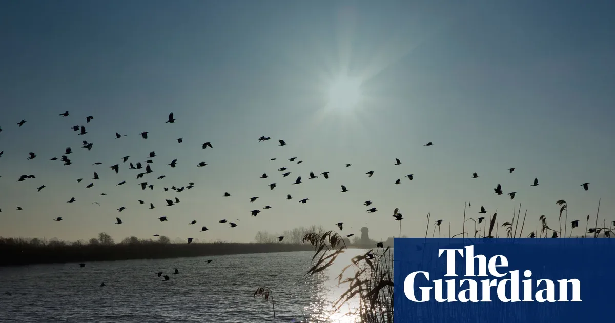 Levy Perumahan di Norfolk Broads Dinilai Terlalu Rendah, Picu Kritik 'Cash to Trash'