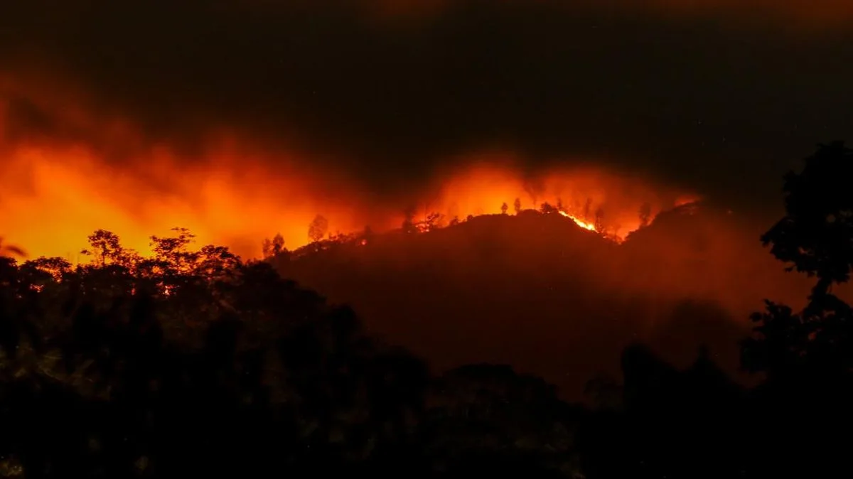Karhutla Lereng Merapi Meluas 60 Hektare, Dugaan Kesengajaan Menguat