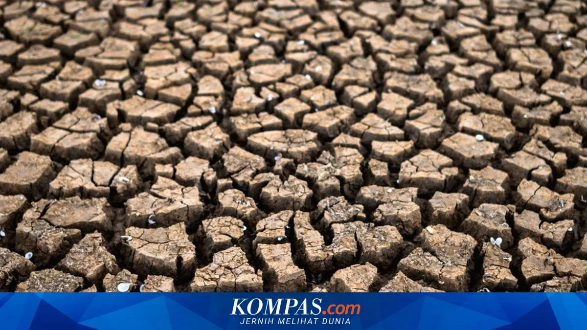 Drought Hits Pemalang for Three Months, 10,764 Households Affected and Clean Water Crisis Widens