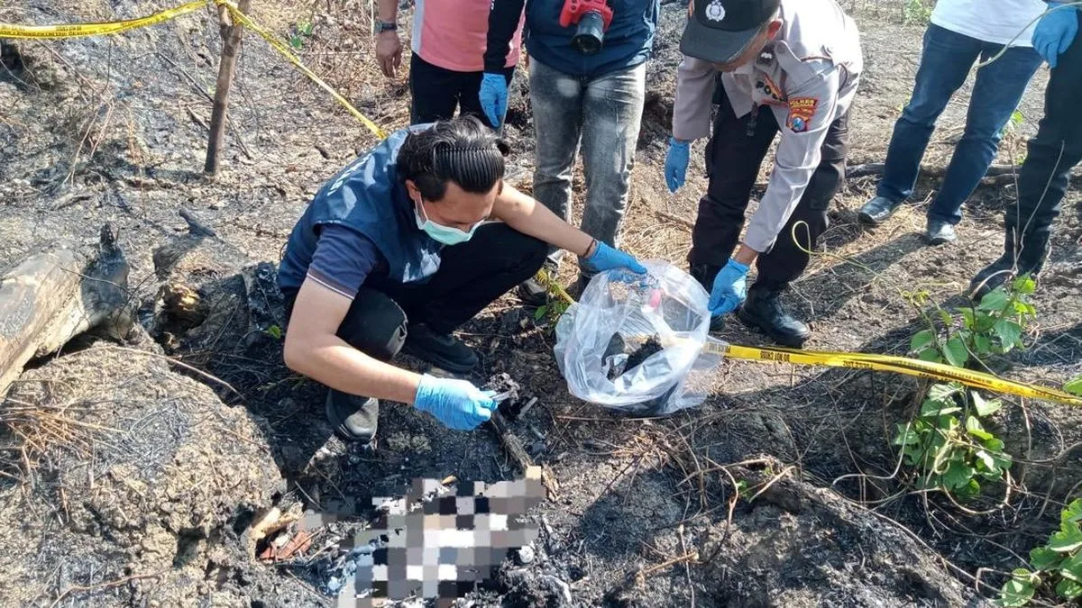 Misteri Kerangka Manusia di Lahan Bekas Karhutla Lamongan, Polisi Belum Kantongi Identitas