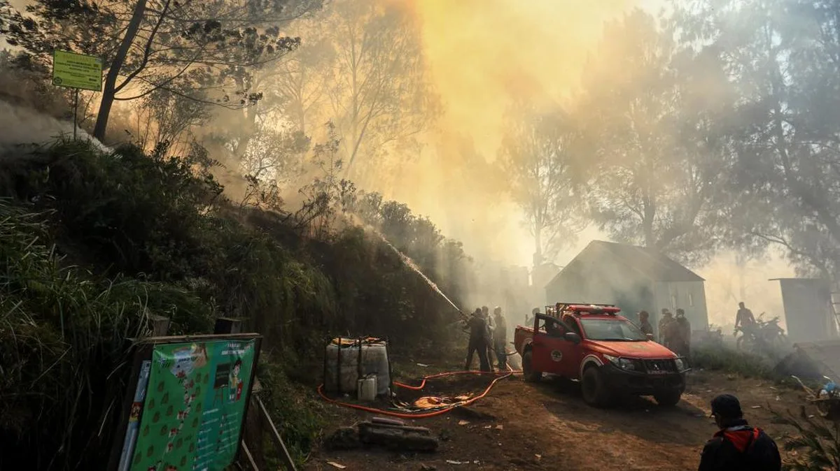 Karhutla Jatim Mulai Reda, Operasi Pemadaman Terpusat di Kaki Gunung Ijen