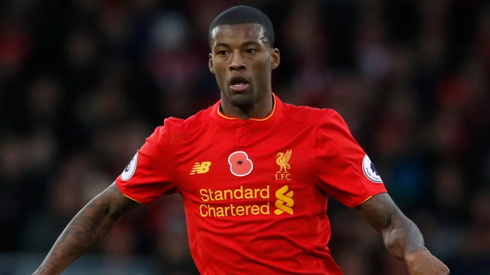 Liverpool Incar Alex Scott, Calon "Wijnaldum Baru" di Bursa Januari