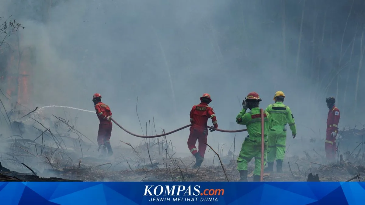 57 Korporasi Masuk Radar Karhutla, Sanksi Rp 1 Miliar per Hektare Menanti