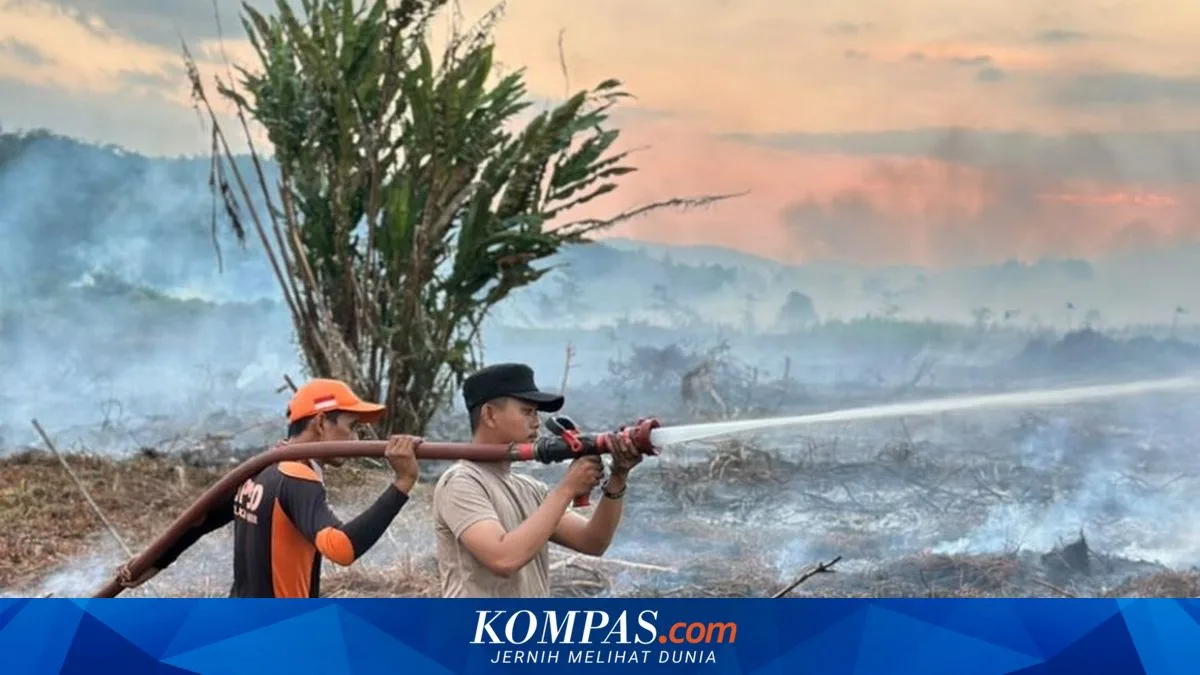 BNPB: Api di Lahan Gambut Bisa Menyala Lagi di Titik yang Sama, Pemadaman Butuh Air Berlimpah