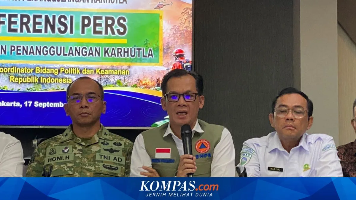 Jepang Tarik Pasukan dan Helikopter Chinook dari Kalimantan, BNPB Klaim Karhutla Tak Meluas