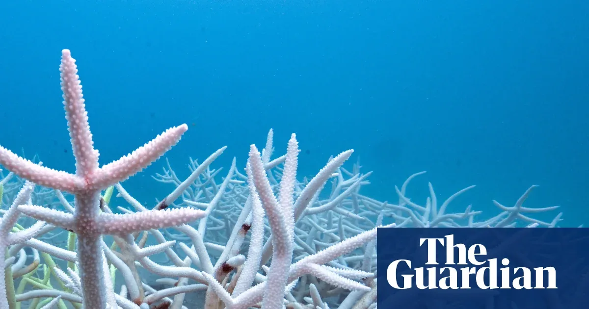 Laut Dunia Serap 23 Zettajoule Panas pada 2025, Rekor Baru yang Mengancam Iklim dan Pangan