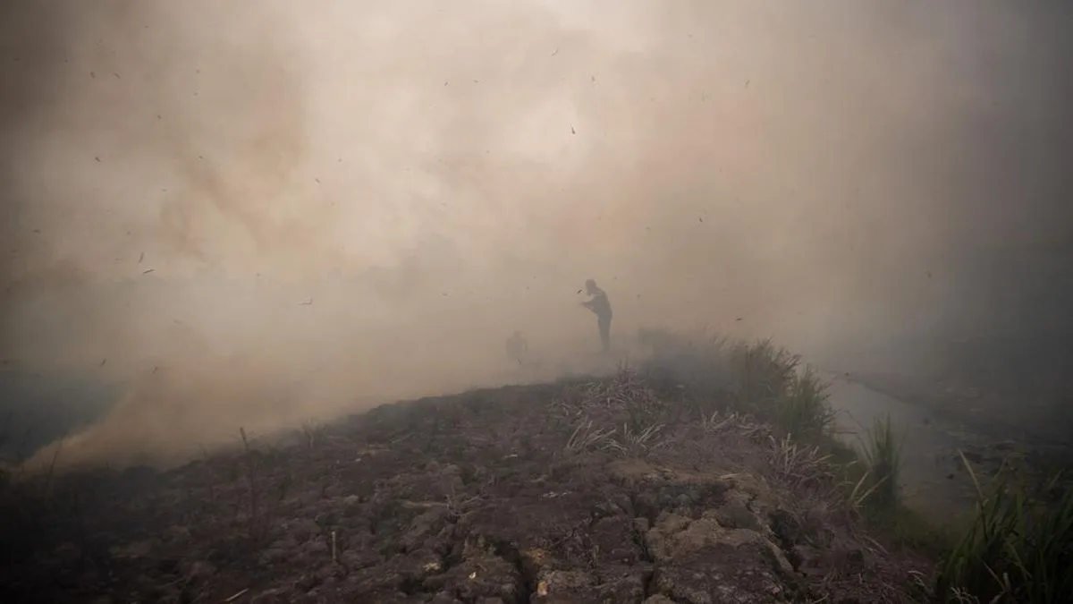 BNPB: 96 Hektare Lahan Masih Terbakar di Enam Provinsi, Operasi Udara dan Darat Terus Berlanjut