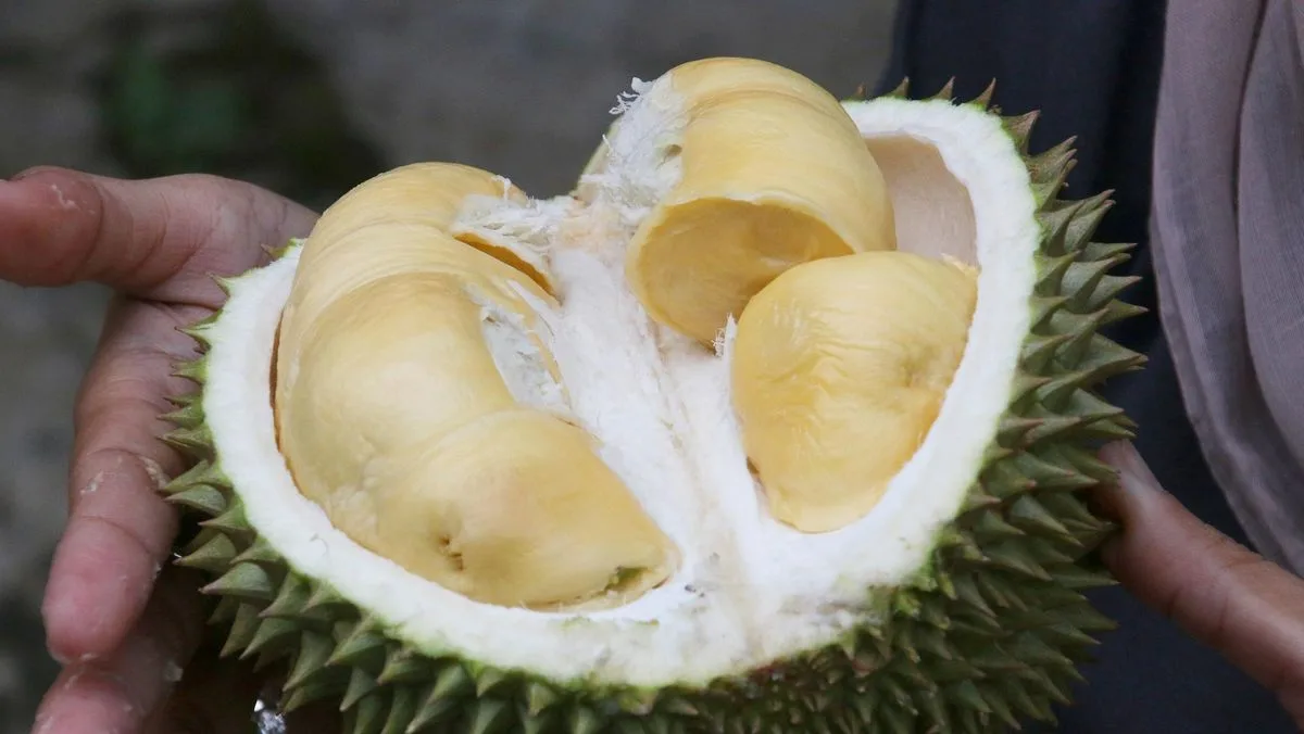 Thailand Deploys AI to Defend Durian Dominance in China Market