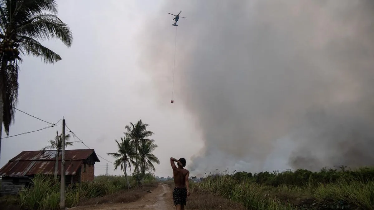 BMKG: Kalimantan Forest Fire Haze Pollutes Makassar Air, PM2.5 Unhealthy