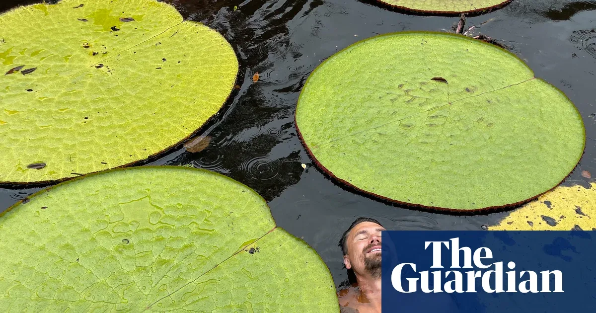 Terungkap dari Swafoto di Instagram: Spesies Baru Teratai Raksasa Ditemukan di Hutan Kolombia, Langsung Berstatus Kritis