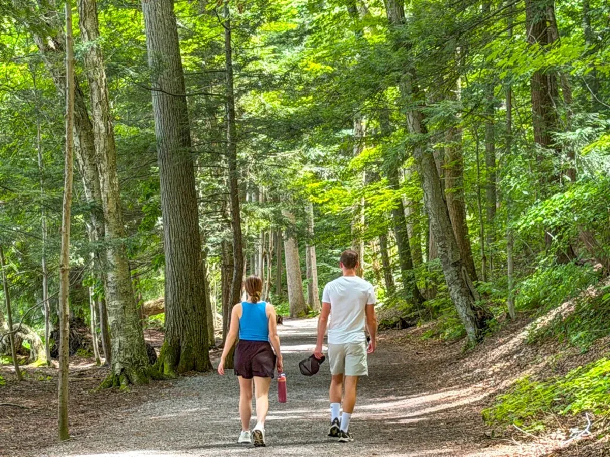 Hy Tests AI to Record 'Forest Walks', a New Bet Amid the Loneliness Crisis