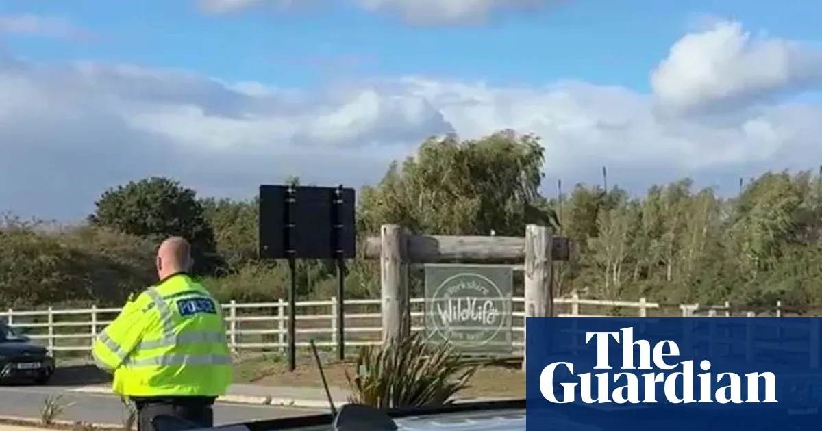 Dead After Jumping Into Tiger Enclosure in Yorkshire, Police Speak Out