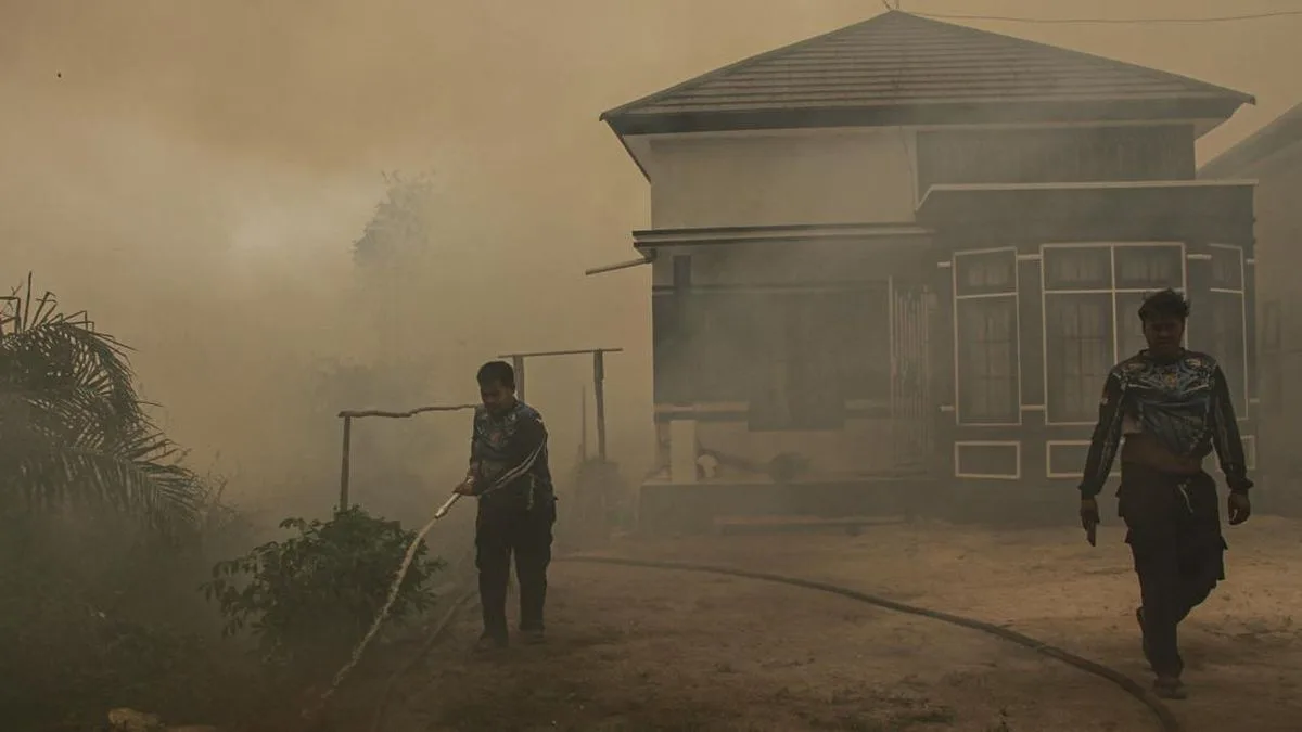 Akses Terjal dan Kekeringan Jadi Penghambat Utama Pemadaman Karhutla di Kalimantan