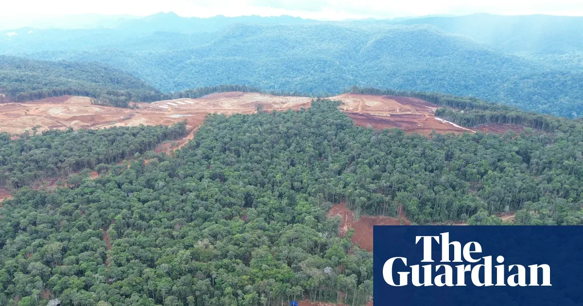 Baterai Mobil Listrik VW, Ford, Tesla Diduga Terkait Deforestasi Hutan Adat di Sulawesi