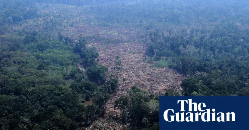 Deforestasi Amazon Cetak Rekor Terendah, tetapi Pilpres Brasil 25 Oktober Jadi Penentu