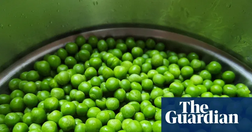 UK Pea Consumption Falls to 50-Year Low, Here's What's Driving It