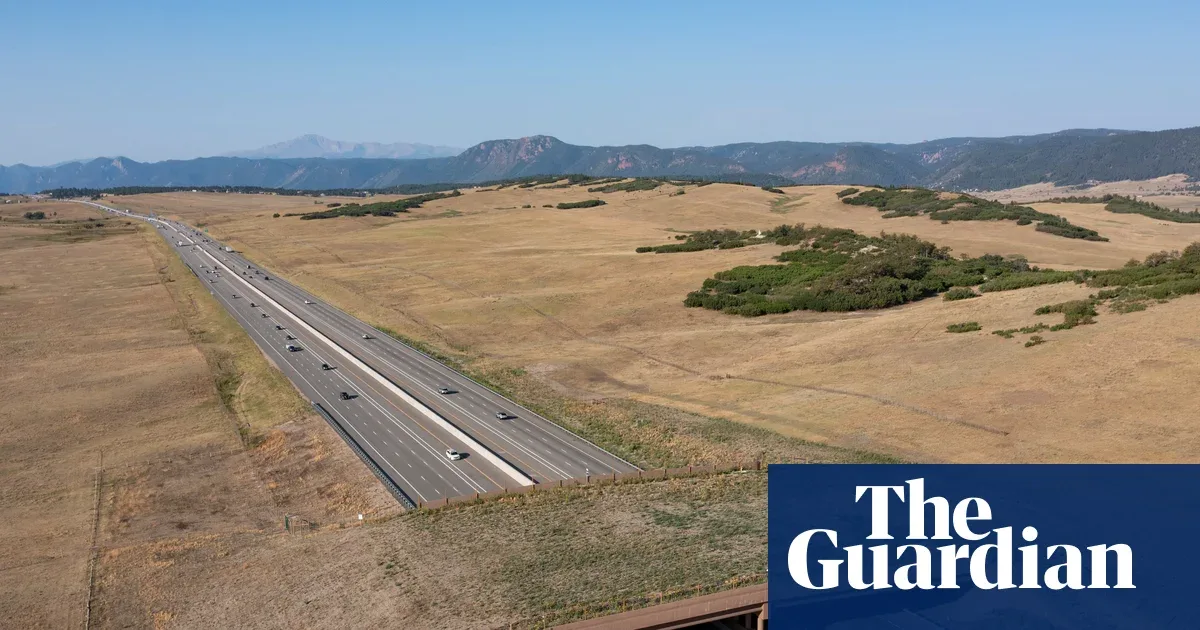 Jembatan Satwa Colorado Pangkas Kecelakaan 91%, Bukti Infrastruktur Hijau Berbayar Sendiri