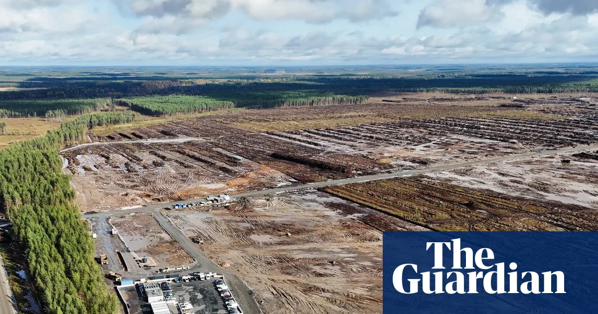 Google Tebang Liar 250.000 Pohon di Finlandia, Otoritas Hentikan Proyek Data Center