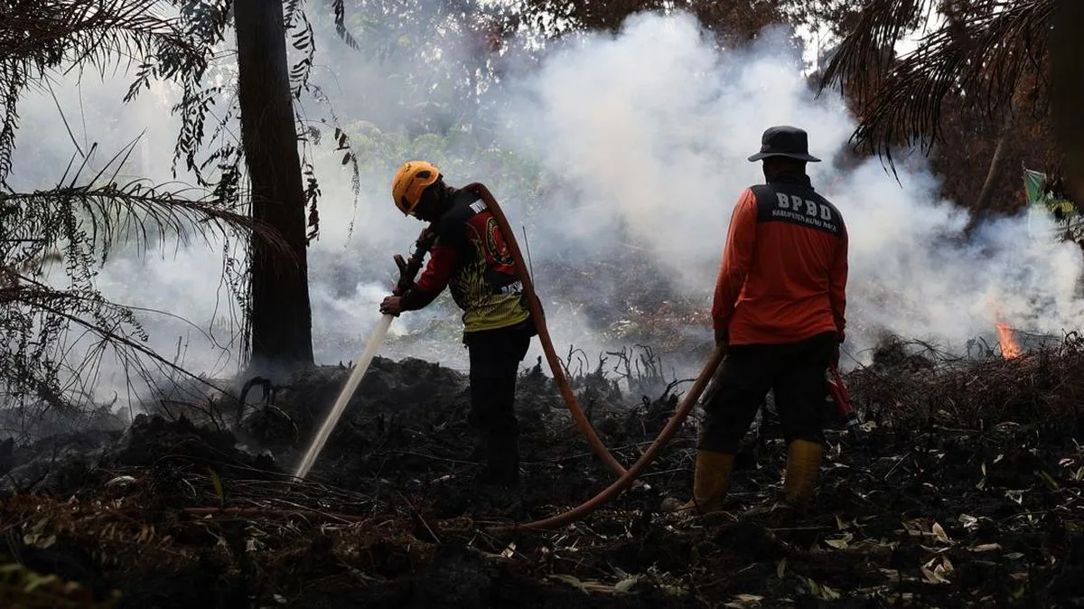 Prabowo Cairkan Rp240 Miliar untuk Karhutla Kalbar, Menhut Minta Daerah Tak Salah Gunakan