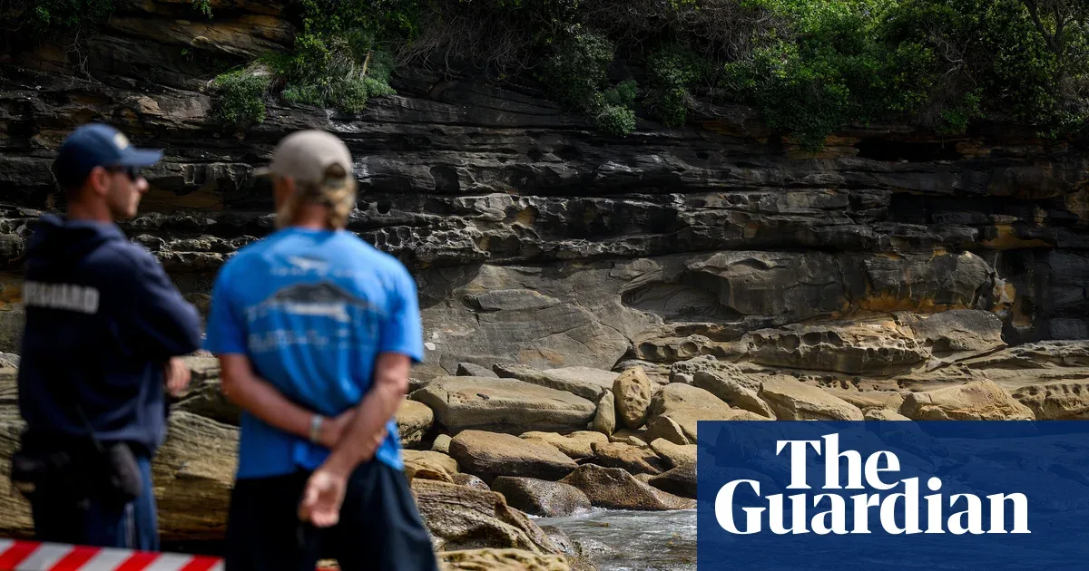 Bangkai Paus Terdampar di Coogee Picu Perdebatan Etika: Dibuang ke Laut atau Dimuseumkan?