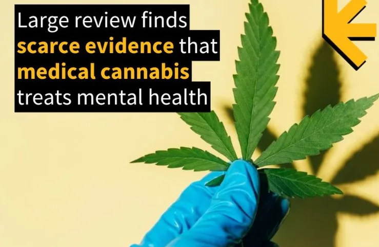 Tinjauan Medis Skala Besar Temukan Minim Bukti Ganja Medis Obati Gangguan Mental