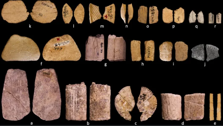 Ancient Math! Dadu Zaman Es Ungkap Pemahaman Probabilitas Penduduk Asli Amerika Kuno