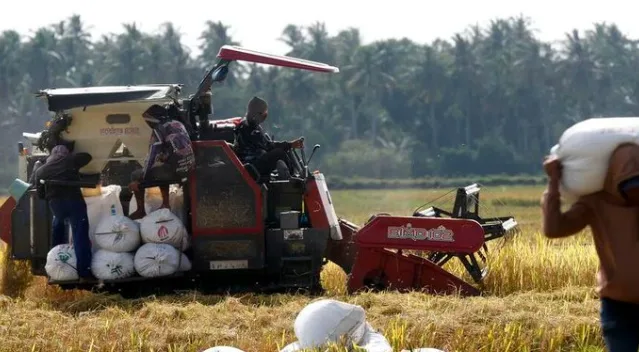 Waspada El Niño: Indonesia Siaga Hadapi Kemarau Panjang dan Risiko Karhutla