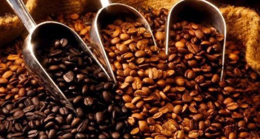 Perdagangan Kopi Asia Melambat: Kedaulatan Pasar Komoditas dan Tantangan Premi di Tengah Siklus Liburan Regional
