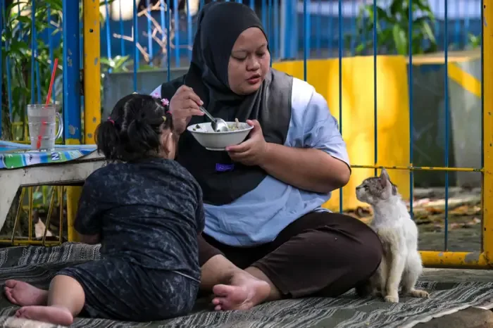 Jakarta Darurat Kucing Liar: 1,5 Juta Ekor Ancam Keseimbangan Kota