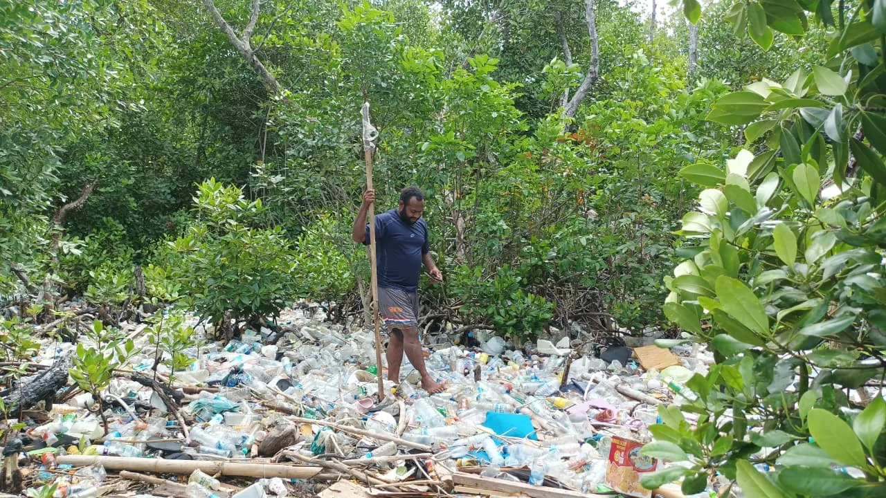 Mangrove Teluk Youtefa Terus Tergerus: Ancaman bagi Ekologi dan Penghidupan Masyarakat Adat Papua