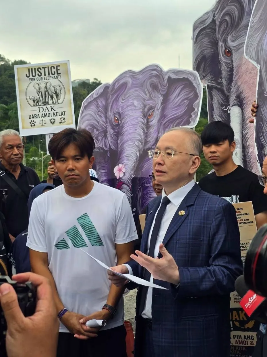 Lari Solidaritas 290 Km Berujung di Parlemen: Nasib Tiga Gajah Malaysia di Jepang Mendesak