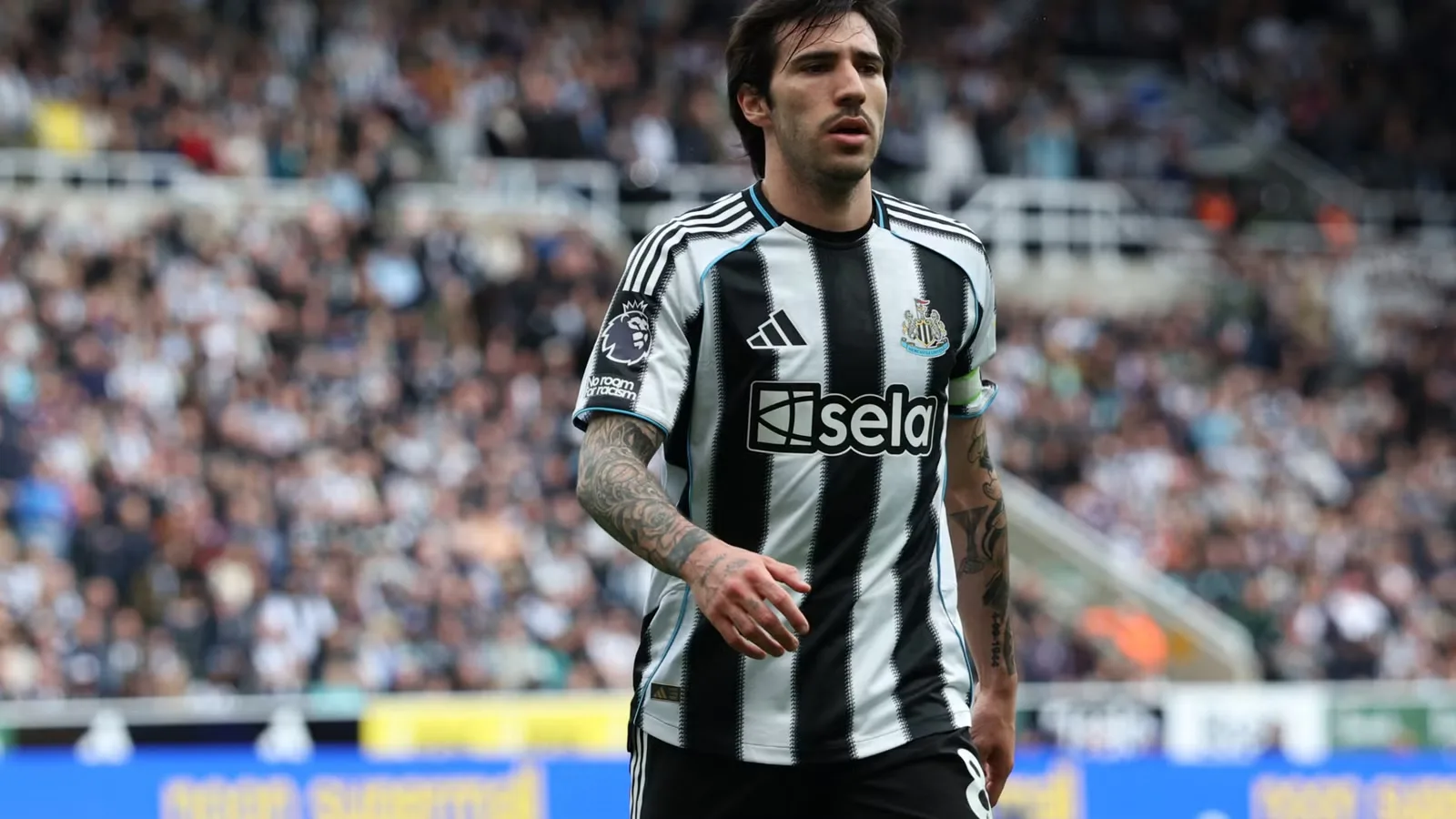 Newcastle Siapkan Pengganti Tonali, Tottenham Dapat Angin Segar