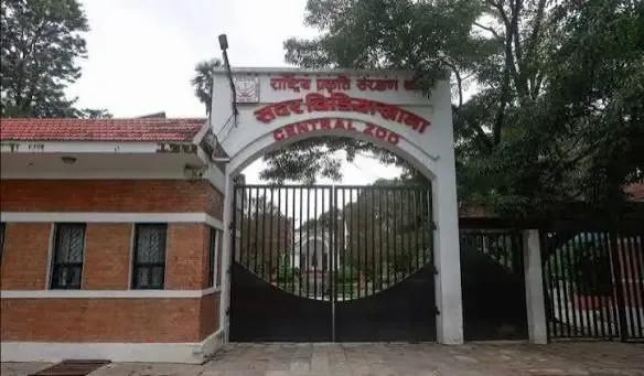 Wabah Flu Burung Meluas di Kathmandu, Kebun Binatang Tutup