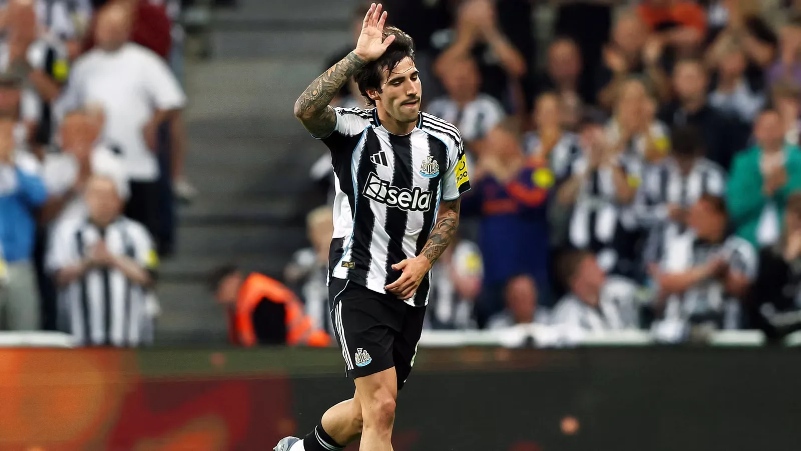 Newcastle Incar Gelandang Muda AZ Alkmaar sebagai Pengganti Tonali