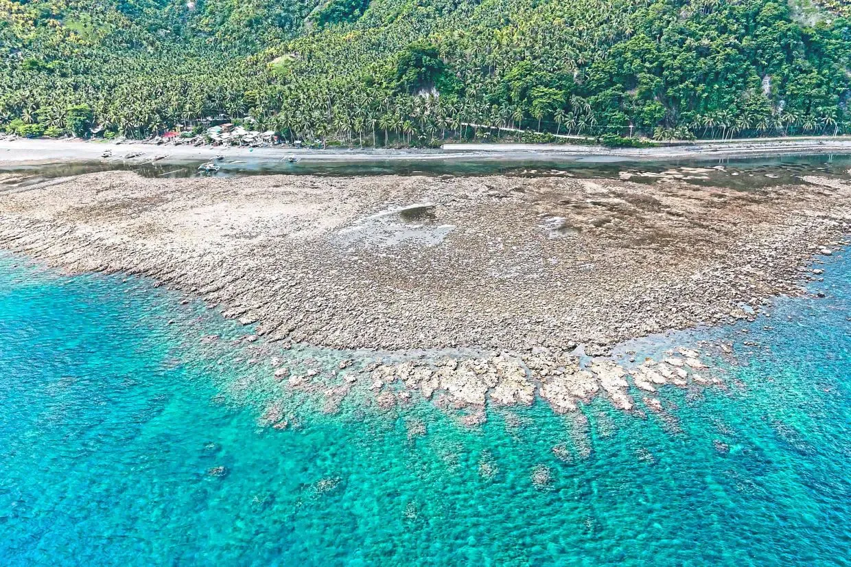 Gempa 7,8 SR di Filipina Ubah Garis Pantai: Dasar Laut Terangkat 2 Meter