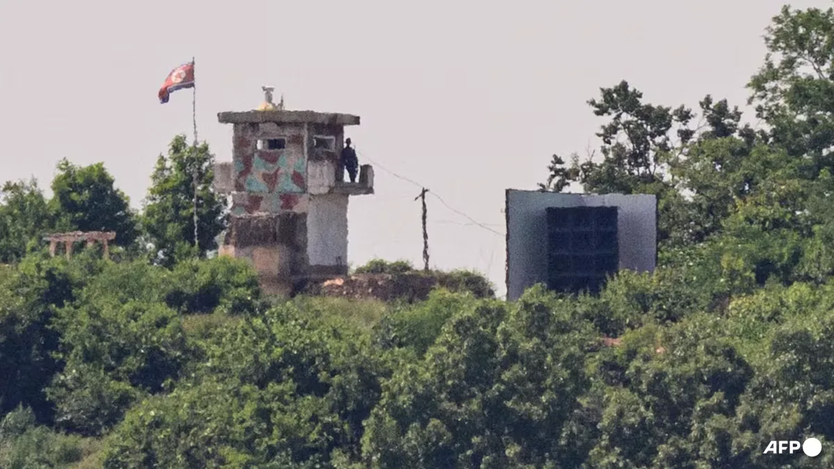 Prajurit Korut Menyeberang ke Korsel: Defeksi Langka di Zona Demiliterisasi
