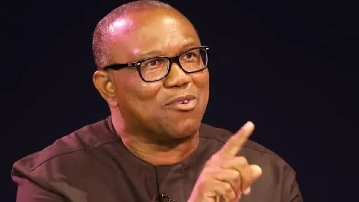 Peter Obi: Polisi Negara Bagian Sebaiknya Beroperasi Setelah Pemilu 2027