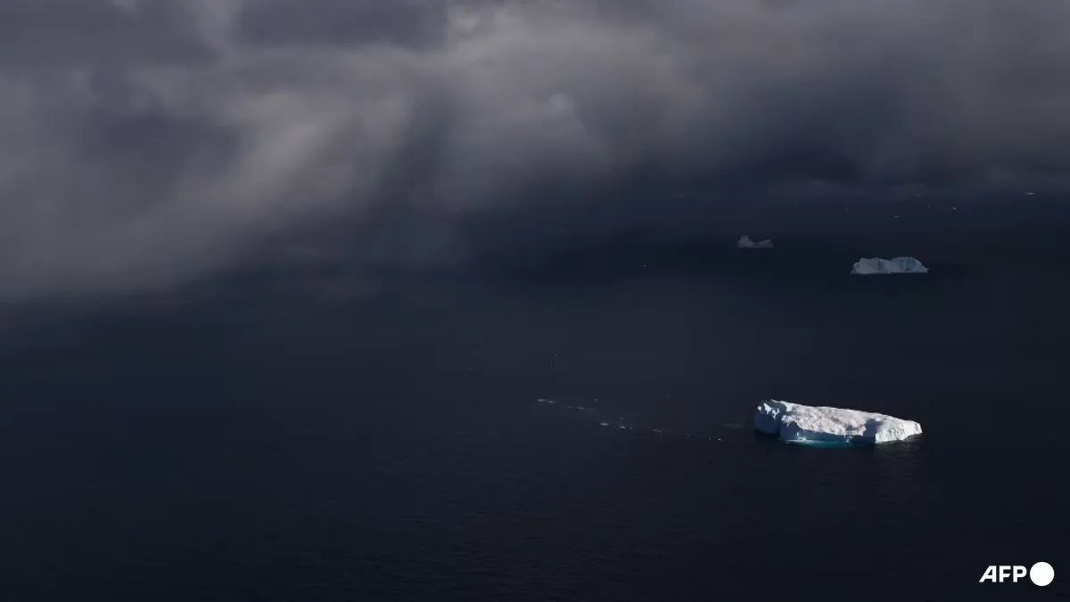 Suhu Laut Global Pecahkan Rekor Juni Terpanas, El Nino dan Karbon Jadi Pemicu