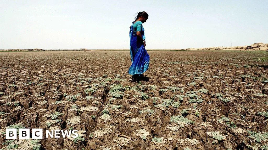 India Alami Juni Terkering dalam 12 Tahun, Petani Terancam Gagal Panen