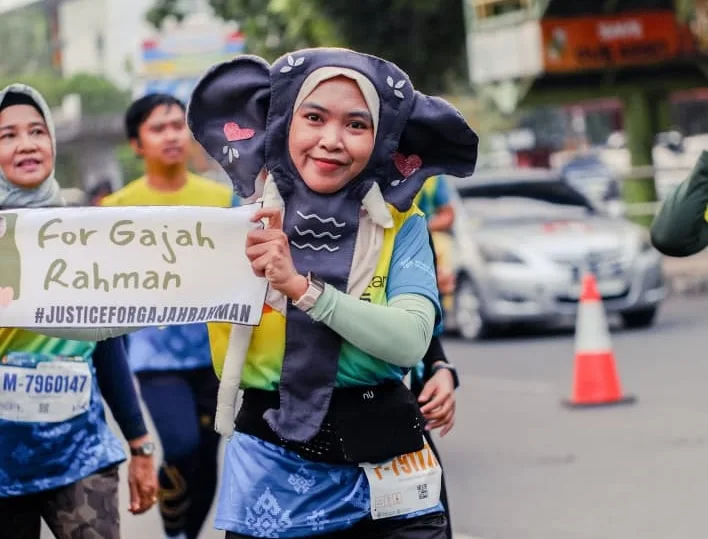Aksi Sunyi untuk Gajah Rahman: Ketika Keadilan bagi Satwa Terlindungi Tak Kunjung Tiba