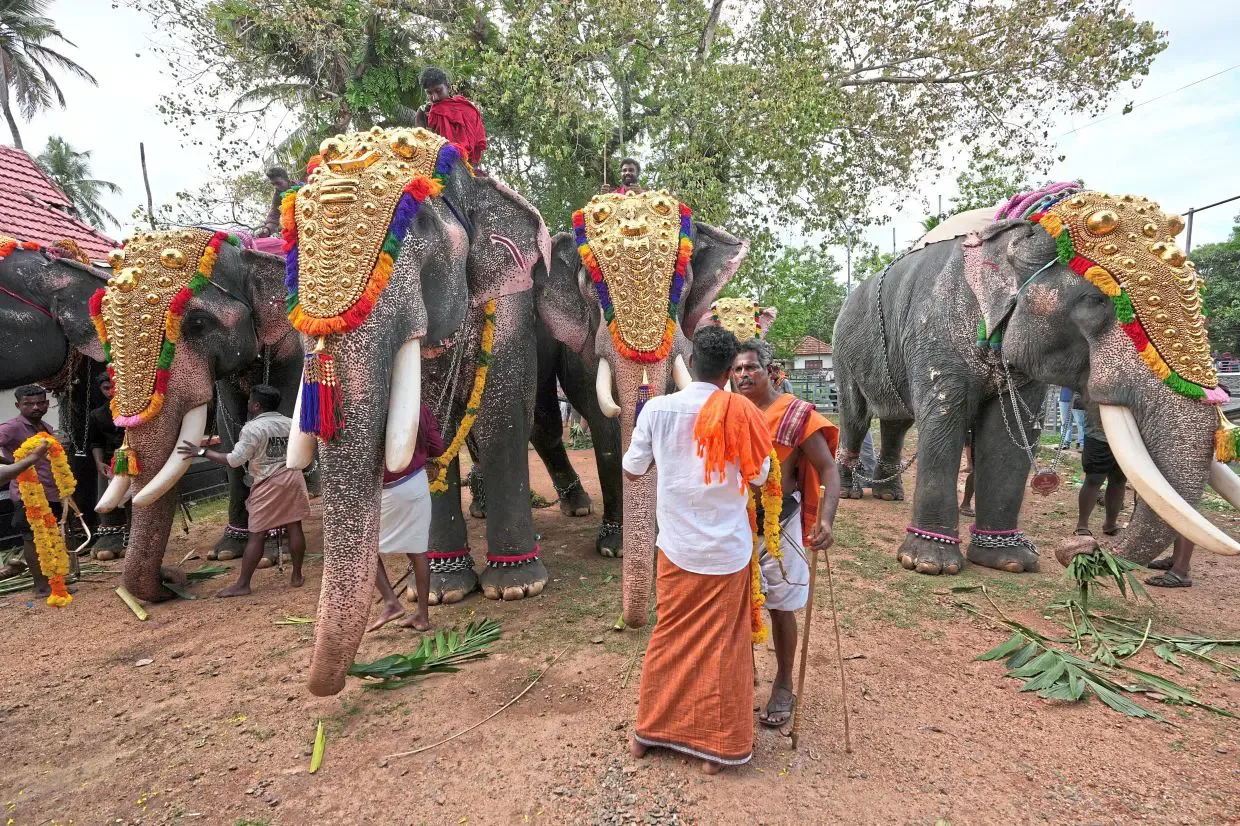 Gajah Robot Mulai Gantikan Gajah Asli di Kuil India: Antara Tradisi dan Kesejahteraan Hewan