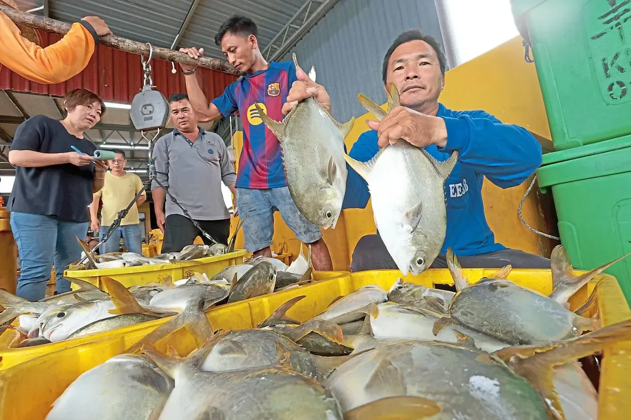 Ancaman Relokasi: 25 Tambak Apung Penang Kejar Tenggat Izin Demi Pasokan Ikan Nasional