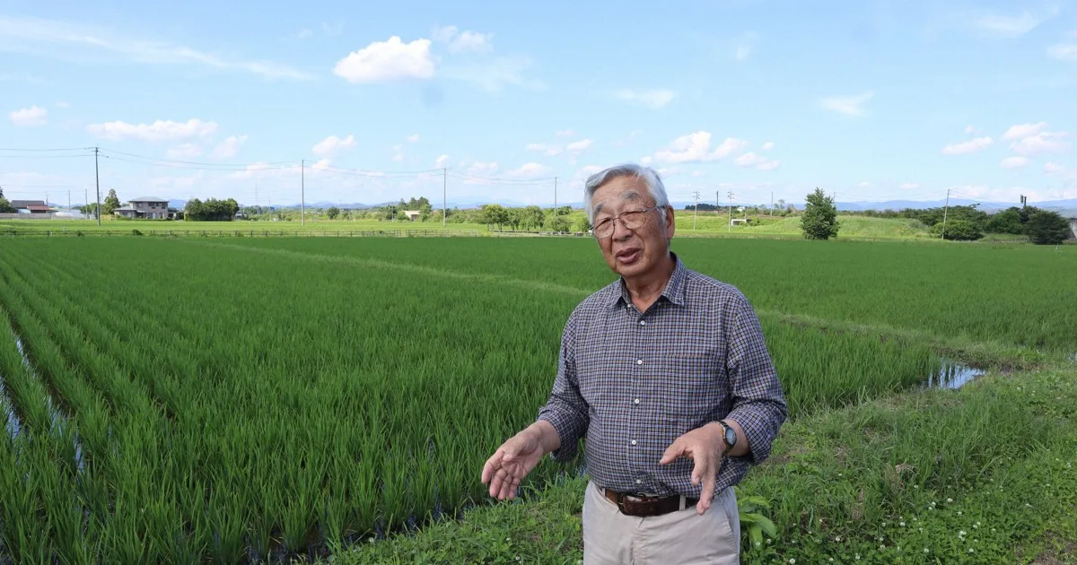 Petani Jepang Cemas Harga Beras Anjlok: Dari Krisis Langka ke Melimpah